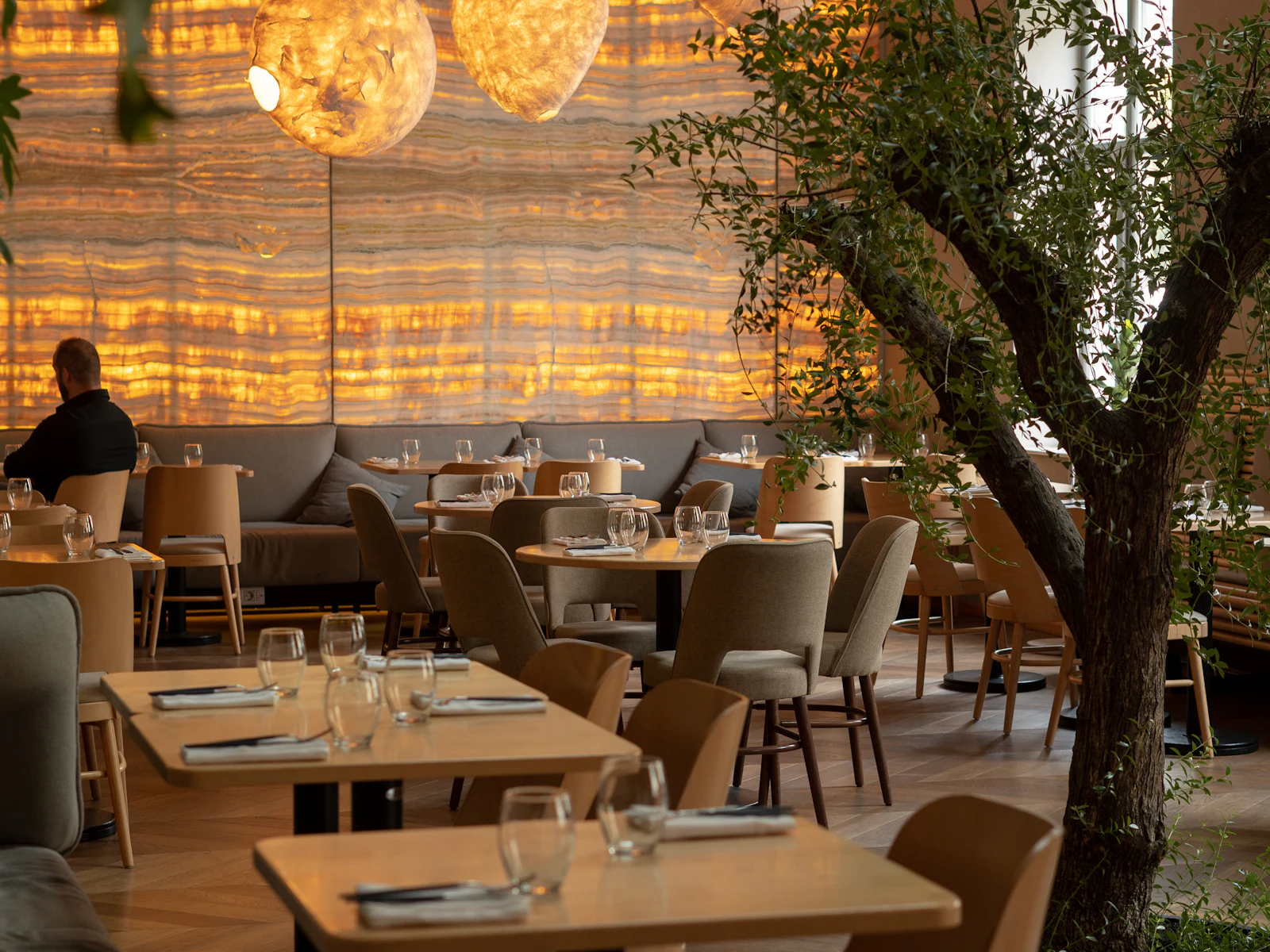 An elegant restaurant dining room with an olive tree